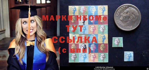 шишки Новокубанск