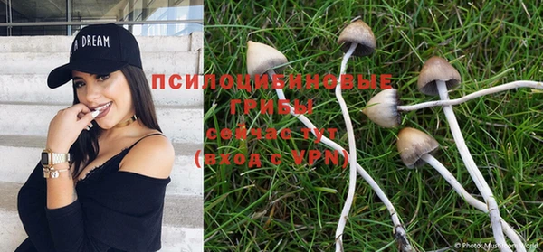 бошки Нефтегорск