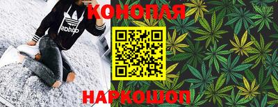 молекула духа Донской