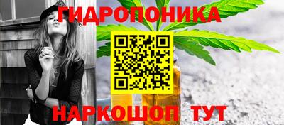 молекула духа Донской