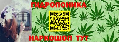 прущие грибы Донецк