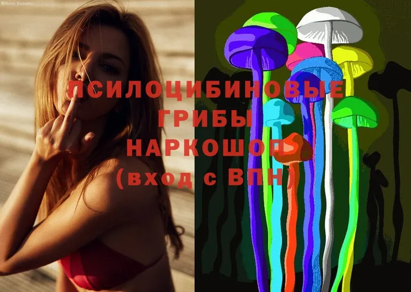 Псилоцибиновые грибы Magic Shrooms  Клинцы 