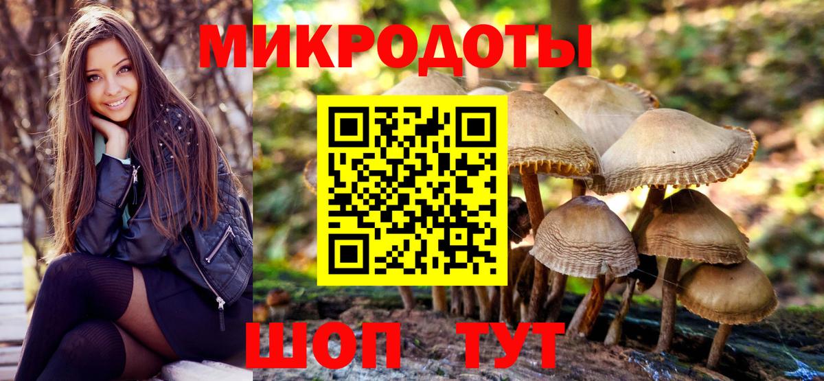 Клинцы  Галлюциногенные грибы Cubensis  Вход с VPN 