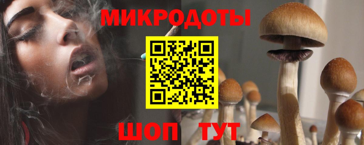 Галлюциногенные грибы GOLDEN TEACHER Клинцы