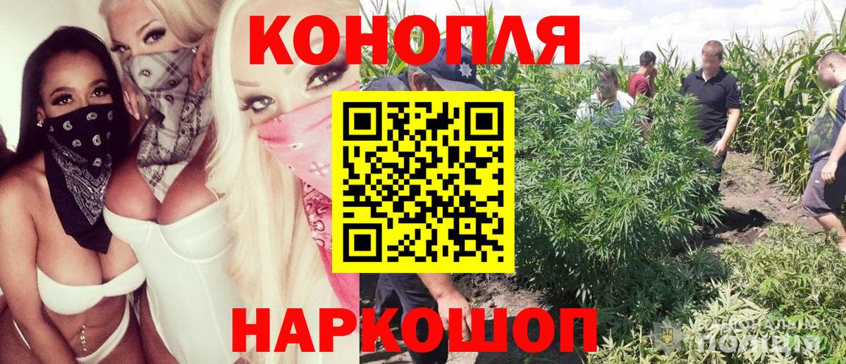 Марихуана сатива Клинцы